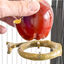 Penn Plax Comedero en forma de manzana para pájaros, , large indicador imagen numero 3